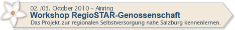 Workshop RegioSTAR